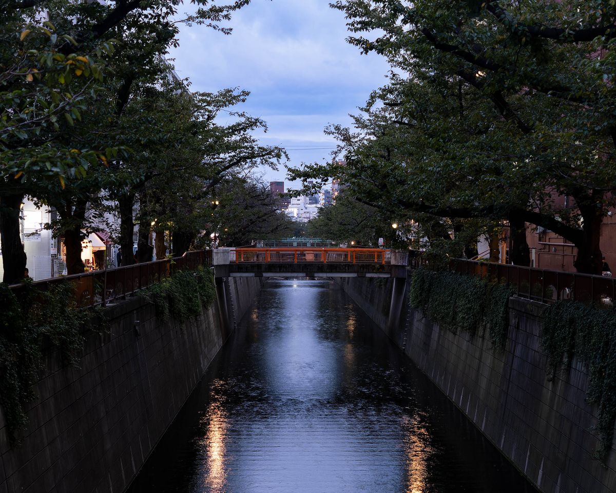 目黒川沿いの風景