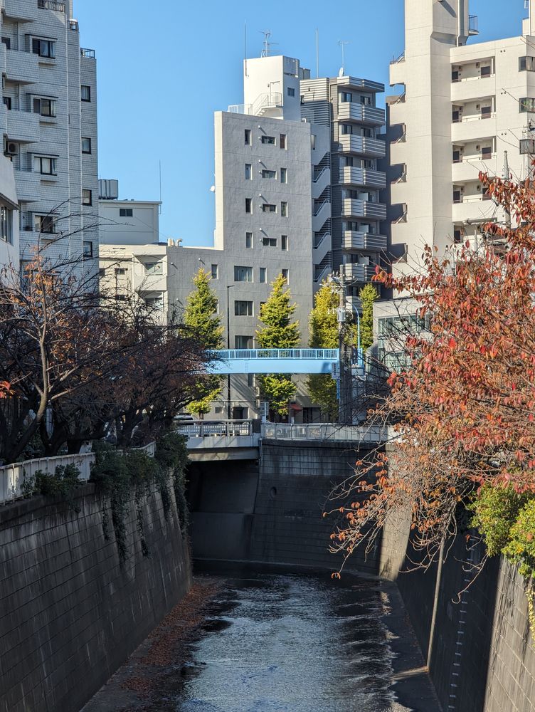 中目黒、目黒川沿いの風景